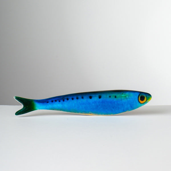 Matteo Fish Magnet Set of 6